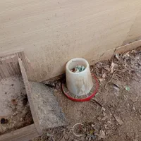 قفس بلدرچین