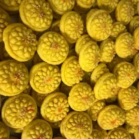 کلمپه خانگی درجه 1|خوردنی و آشامیدنی|زرند, |دیوار