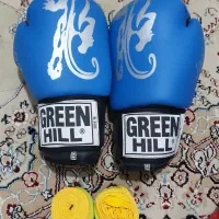 دستکش ولباس بوکس|تجهیزات ورزشی|پاکدشت, خاتون آباد|دیوار