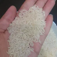 برنج طارم هاشمی درجه یک|خوردنی و آشامیدنی|تهران, ابوذر|دیوار