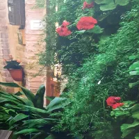 مغازه فروشی