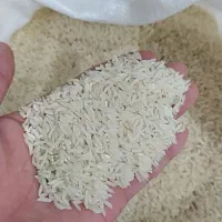 برنج دم سیاه|خوردنی و آشامیدنی|آزادشهر, |دیوار