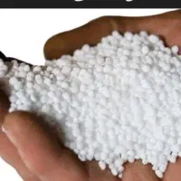 مسجدسلیمان