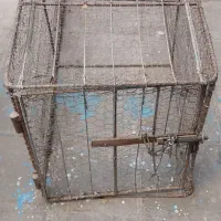 توری مرغی|لوازم جانبی حیوانات|کرمان, |دیوار