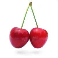 اکیب میوه چینی