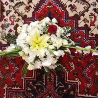 گل طبیعی مجلسی سالم|گل و گیاه طبیعی|تبریز, |دیوار