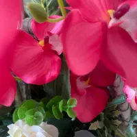 نیازمند نیروی خدماتی