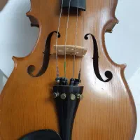 ویولن|ویولن|سنندج, |دیوار