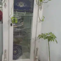 ویترین درحد نو