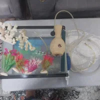 آکواریوم