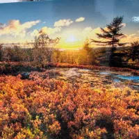 تابلو شاسی چاپی