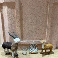آهو و بز شاخدار پوست طبیعی
