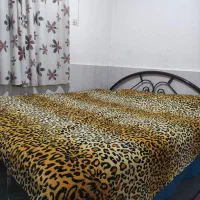 تخت خواب دونفره آهنی همراه با تشک پنبه ای|تخت و سرویس خواب|رامهرمز, |دیوار