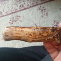 چاقو قصابی|ابزارآلات|ورامین, ورامین|دیوار