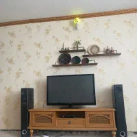 تلوزیون و باند