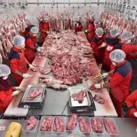 کارگر ساده.حقوق خوب