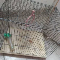 دوعدد قفس پرنده سالم