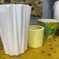 گلدان گیاه