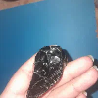 الماس سیاه کاملا واقعی|کلکسیون اشیاء عتیقه|اوز, |دیوار