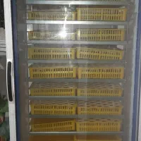 دستگاه جوجه کشی بلدرچین دماوند ۱۸۵۰تایی|لوازم جانبی حیوانات|آق قلا, |دیوار