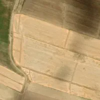 مشارکت