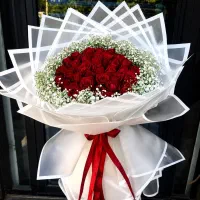 دسته گل و باکس گل رز هلندی شاخه۳۵ تومان