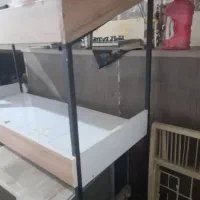 قفسه میوه فروشی