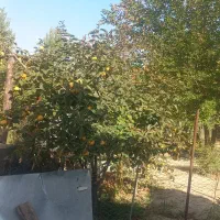 اجاره روزانه، هفتگی خانه ویلایی در شهرستان خدافرین|اجارهٔ کوتاهمدت آپارتمان و سوئیت|منجوان, |دیوار