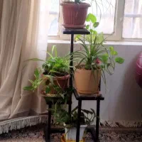 استند گل.جا گلدونی|صنایع دستی و سایر لوازم تزئینی|اشتهارد, |دیوار