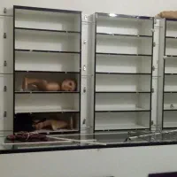 ویترین و قفسه در حد نو