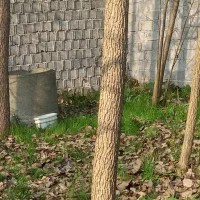 ملک و املاک