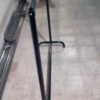 رگال