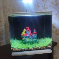 آکواریوم دلسا مدل K185