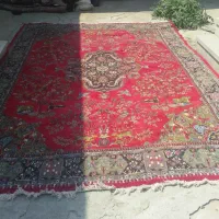 فرش قرمزفروشی نقدی