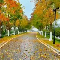 رهن و اجاره آپارتمان ۲خواب شهرک الهیه، مجتمع