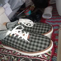 کفش|کیف، کفش، کمربند|فارسان, |دیوار