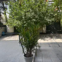 واحدسه خواب جنوبی ارم نارون 155متری|فروش آپارتمان|شیراز, تپه تلویزیون|دیوار