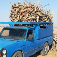 خریدار انواع چوب خشک