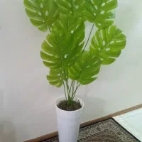 درختچه برگ انجیری مصنوعی