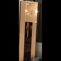 ساعت ایستاده