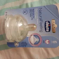 سر شیشه چیکو