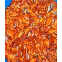 پخش مستقیم ماهی قرمز‌ از استان گلستان