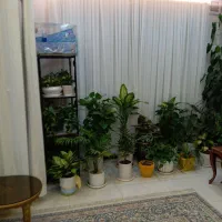 واحد-سه-خوابه-130-باهنر-جنوبی
