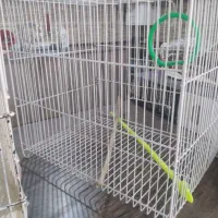 دو تا قفس یکی کاسکو یکی معمولی
