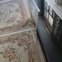 محافظ صحفه تلویزیون ۵۵ اینج اصلی|تلویزیون و پروژکتور|سنندج, |دیوار