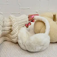 گوشگیر تدی تاشو نشکن فقط ۱۶۸ هزار تو.مان