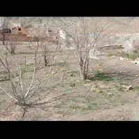 زمین مناسب ساخت خونه باغ