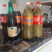 شربت ریحان .آلو .برگ مو|خوردنی و آشامیدنی|ارومیه, |دیوار