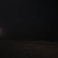 استخدام منشی و نگهبان شب