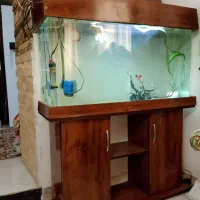 آکواریوم پایه دار شیشه خم
